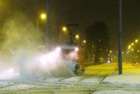 Zdj�cie miesi�ca