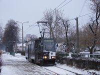 Zdj�cie miesi�ca