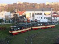 Zdj�cie miesi�ca