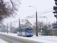 Zdj�cie miesi�ca