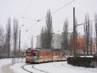 Zdj�cie miesi�ca