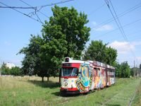 Duawag Wegmann 6ZGTW #251