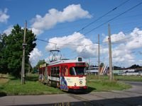Duawag Wegmann 6ZGTW #251