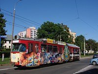 Duawag Wegmann 6ZGTW #251