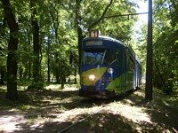 Duawag Wegmann 6ZGTW #252