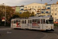 Zdj�cie miesi�ca