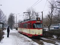 Zdj�cie miesi�ca