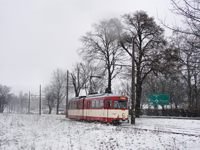 Zdj�cie miesi�ca