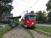 Duawag Wegmann 6ZGTW #258