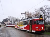 Duawag Wegmann 6ZGTW #259