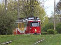 Duawag Wegmann 6ZGTW #259