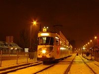 Zdj�cie miesi�ca
