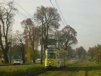 Zdj�cie miesi�ca