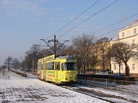 Zdj�cie miesi�ca
