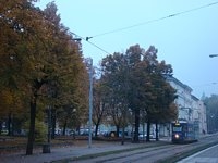Duawag Wegmann 6EGTW #264