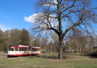 Duawag Wegmann 6EGTW #266