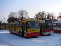 Jelcz 120M #505