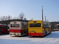 Jelcz 120M #505