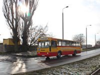 Jelcz 120M #505