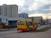 Jelcz 120M #505