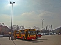 Jelcz 120M #505