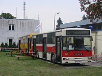 Jelcz 120MM2 #517