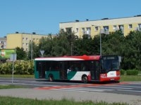 Solaris Urbino12 #529