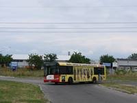 Zdj�cie miesi�ca