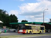 Solaris Urbino12 #531