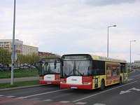 Solaris Urbino12 #531