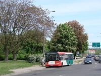 Solaris Urbino12 #533