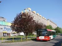 Solaris Urbino12 #541