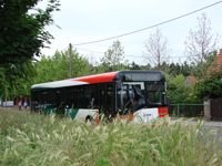 Solaris Urbino12 #544