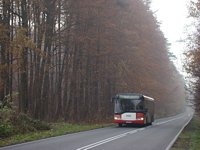 Solaris Urbino12 #545