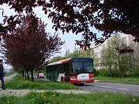 Solaris Urbino12 #541