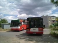 Zdj�cie miesi�ca