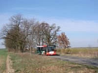 Solaris Urbino12 #549