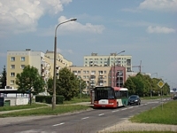 Solaris Urbino12 #549