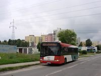 Solaris Urbino12 III #555