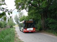 Zdj�cie miesi�ca