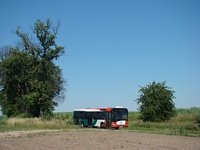 Solaris Urbino12 III #556