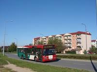 Zdj�cie miesi�ca