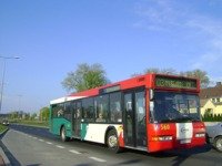 Zdj�cie miesi�ca
