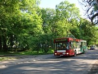 MAN NL202 #564