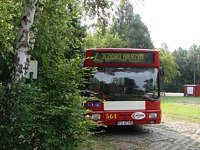 MAN NL202 #564