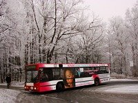 MAN NL202 #564