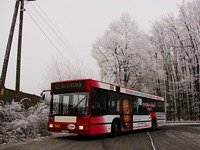 MAN NL202 #564