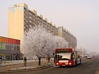 MAN NL202 #564