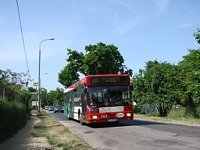 MAN NL202 #564