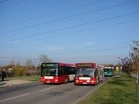 MAN NL202 #564